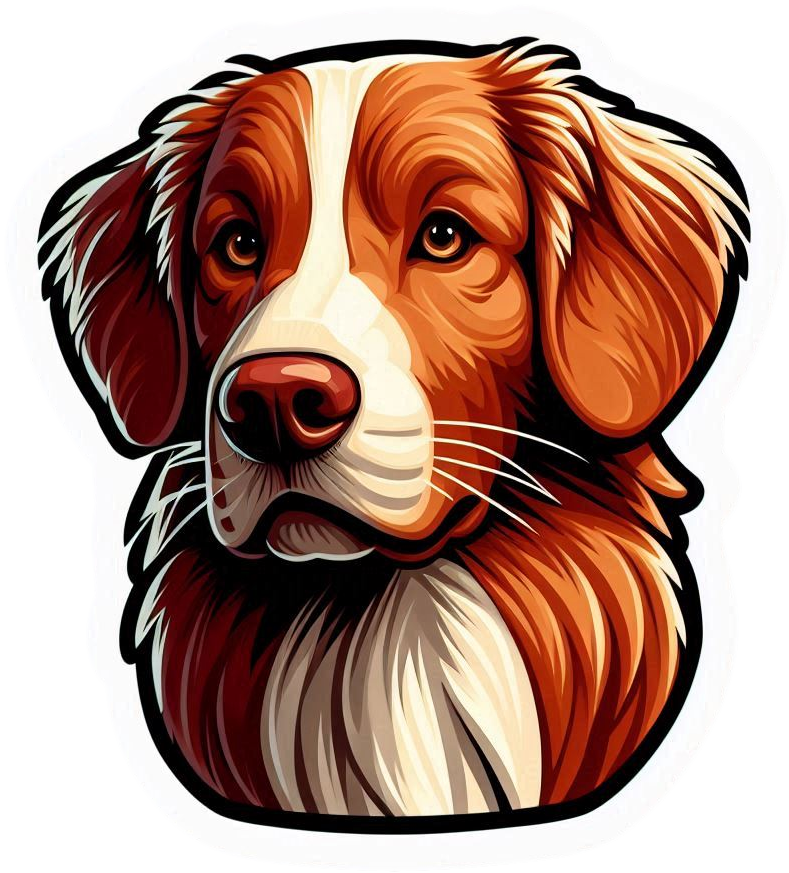 Nova Scotia Duck Tolling Retriever