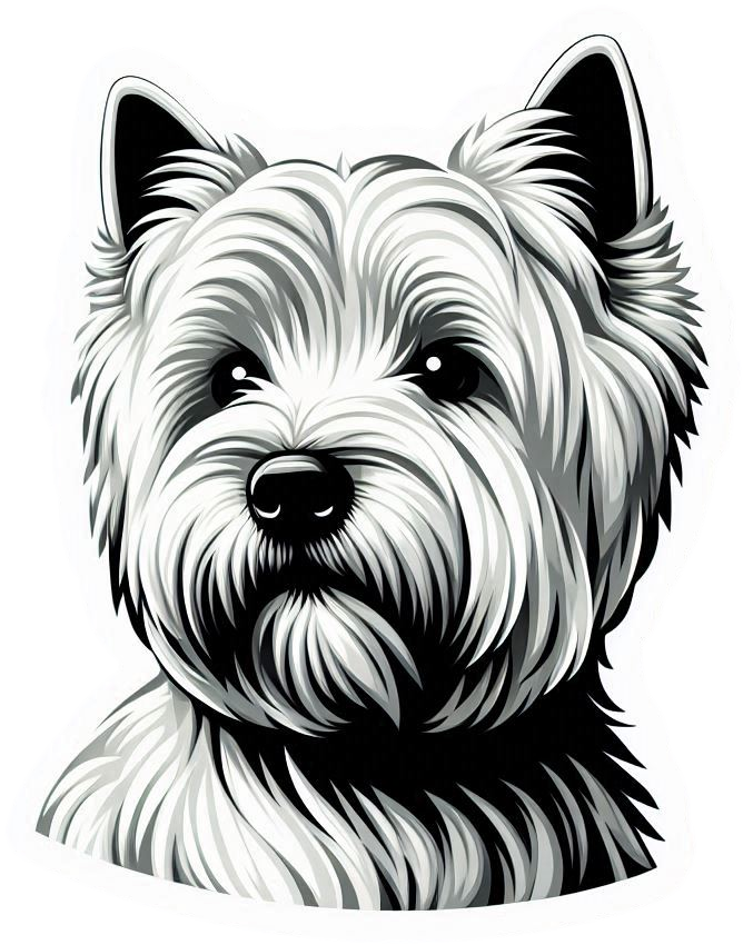 West Highland White Terrier