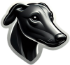 Anglický chrt (Greyhound)