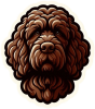Lagotto romagnolo