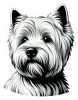 West Highland White Terrier